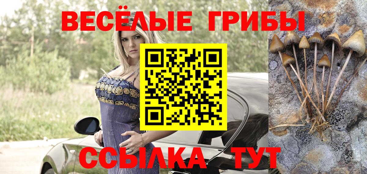 Донецк  Галлюциногенные грибы Magic Shrooms  купить наркотик  Вход с VPN 